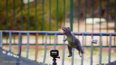 Classic Will E Coyote