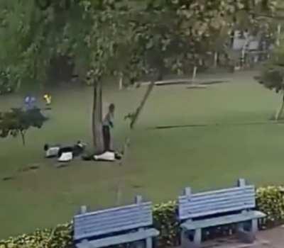 HMFT after we shelter by a tree