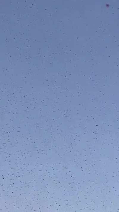 Saw this from my office hovering over LAX airport today, then just vanished.