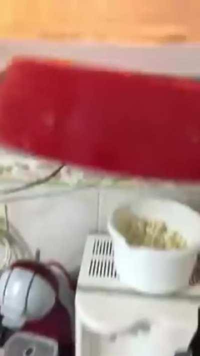 Regular dog food with a little drama