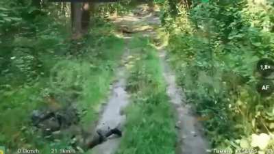 Combat Compilation of Recent Russian SF Operations 