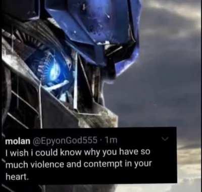 I understand megatron now