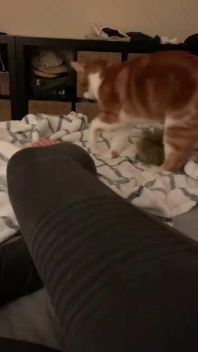 Attack! Attack! (Please ignore the mess)