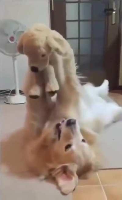 olD mAn bareLY HOLDS OFf yOuNG ThuG tRYing To StraNGlE HIM to dEath!!