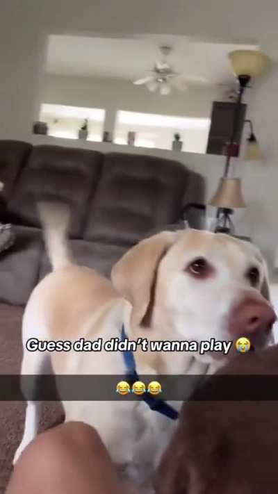 Weaponizing the dog…😈