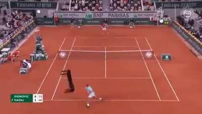 Tenis de mesa 😁👌