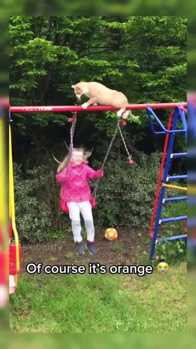 LiTtLe gIrL BrUtAlLy sLaIn iN FrOnT Of hEr dAd