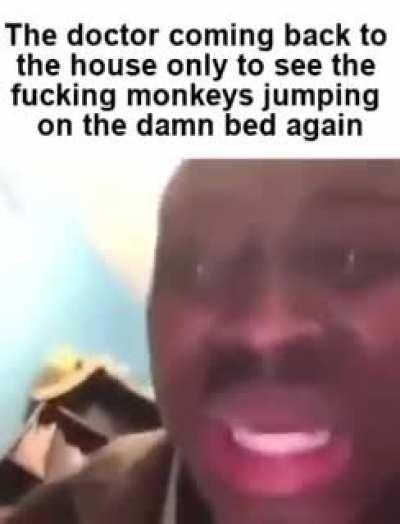 Damn monkeys