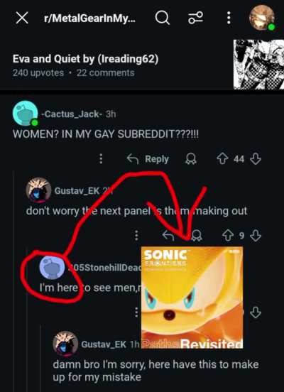 Hedgehog battle song