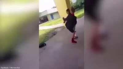 School bully gets clapped by brave kid !
