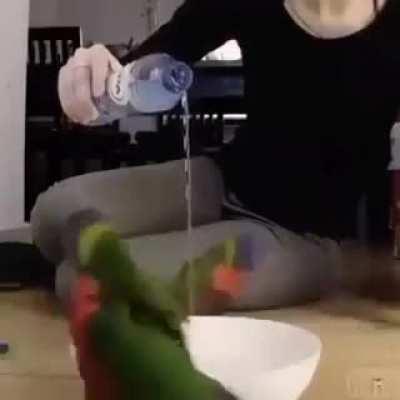 I want to join this ritual