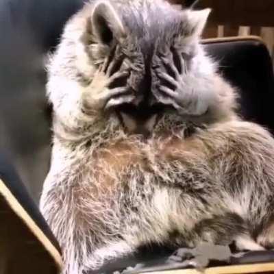 carti got these lil mfs in their feelings 😔