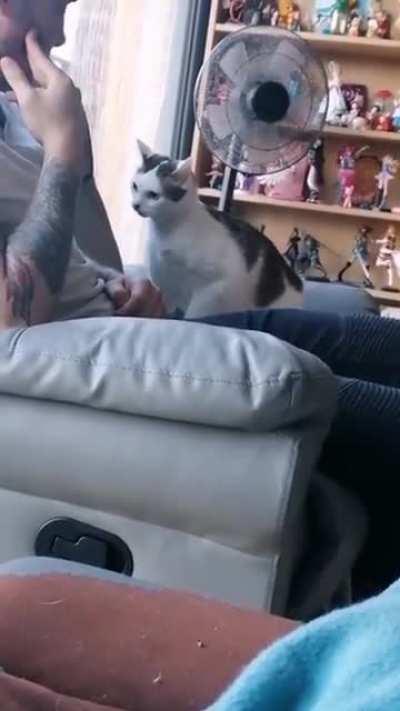 Mother i crave violence