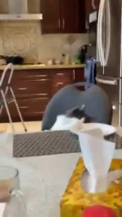 No second servings? Excuse me?