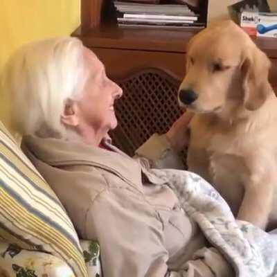 5 Months Old Puppy Brings A Lot Of Joy To His 100 Years Old Grandma