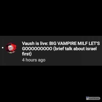 Average Vaush stream: