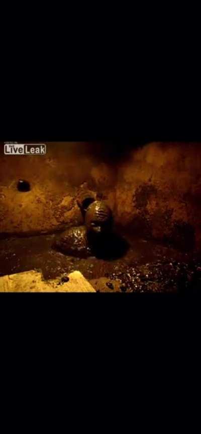 For those that saw the Craigslist Ad posted earlier.