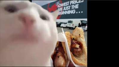 bunnings theme goes hard