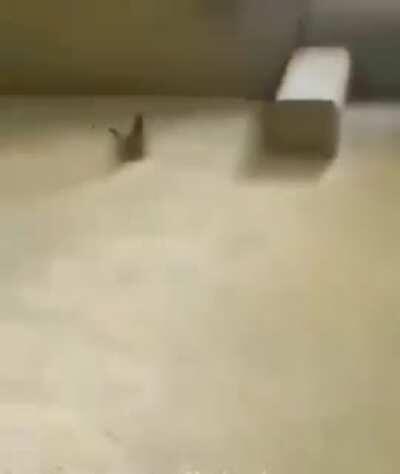 Can someone tell whats going on here...