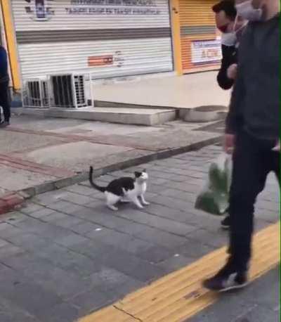 Oh yes, he is the right one for this sub!