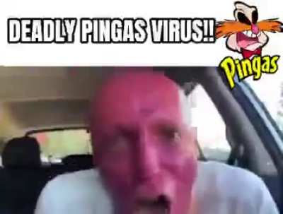 your virus is: damn pingas