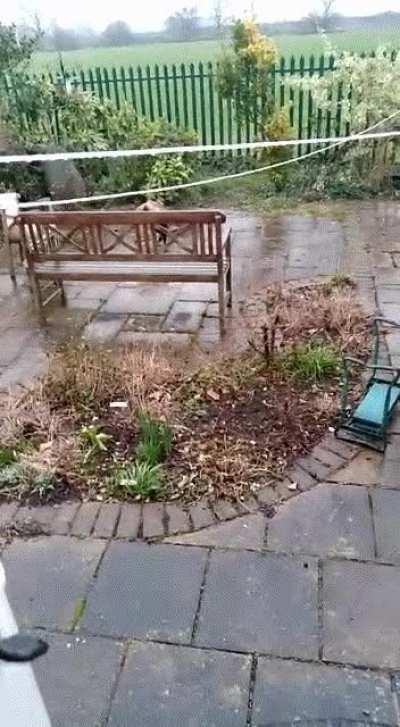 It really is the preferred way of walking...