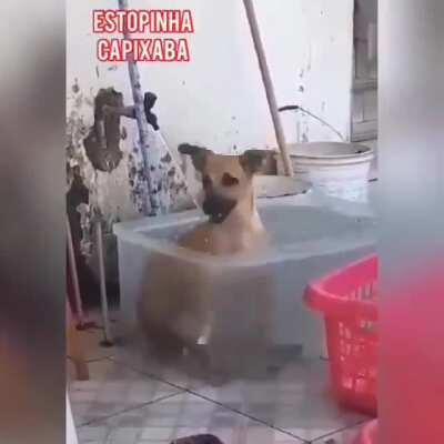 Bom dia galera, vejam esse vídeo e fiquem felizes 😃