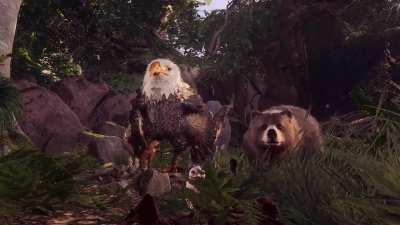 Halsin, unbothered, moisturized, happy, focused, flourishing