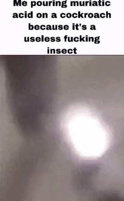 God I hate C*ckroaches 🤮🤬