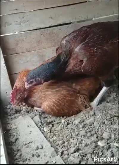 Scolding mate for not taking good care of the kids