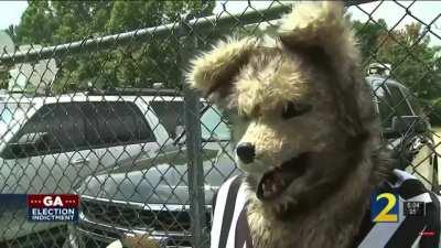 He Came from Out of the Middle of the Woods to Say this….