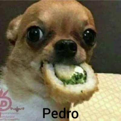 Pedro