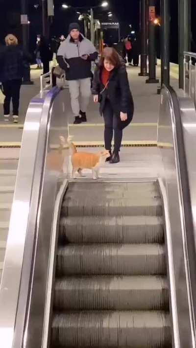 He seems to be in a hurry