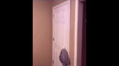 Stella is kinda hot ngl