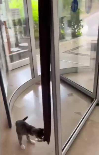 I got to figure this out - if it's the last thing I do