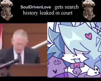 SoulDrivenLove gets search history leaked in court 🚨