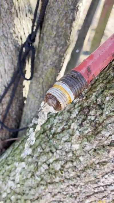 Does anyone else get childishly entertained by constipated garden hoses during the winter, or is it just me?