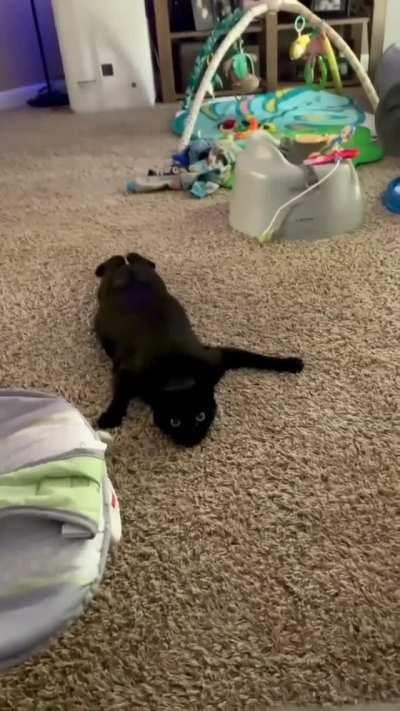 Ninja Warrior coming in under the radar