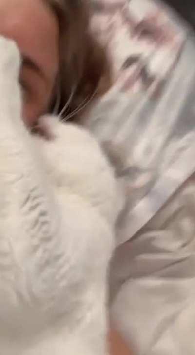 This is the morning routine with my cat, Karen.