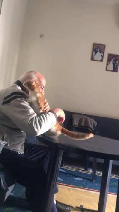 Kitty being loving and affectionate with this elderly man