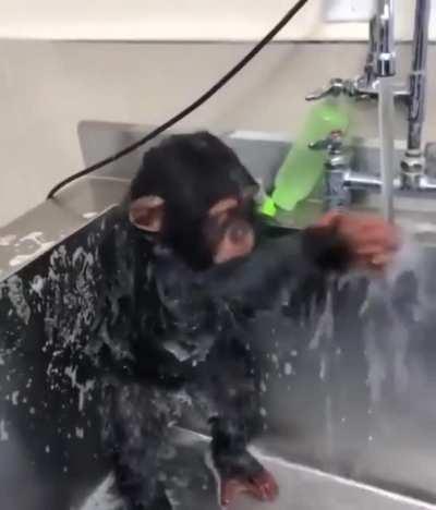 Hygiene is important friends, stay clean kings.