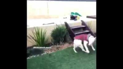 Walter wit da clothes?? He do be dancin tho😳😳