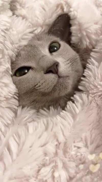 she loves being cozy ☺️