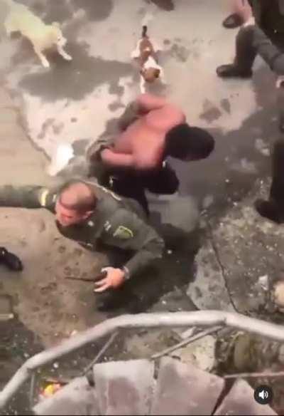 “Paloterapia” in colombia.