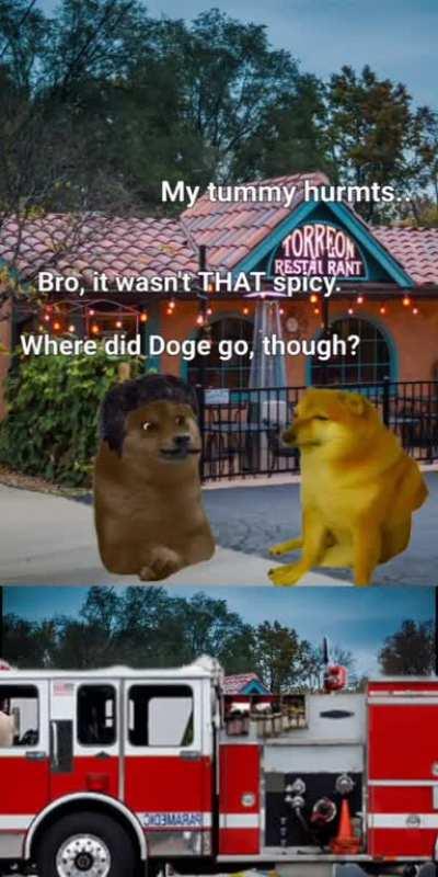 Le spicy food left as soon as it arrived