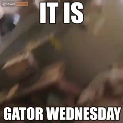 gator wednesday 🐊🐊🐊