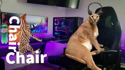 Big Floppa podcast Episode 1. Sogga Interview