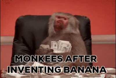 Monke smart! H*man dumb!