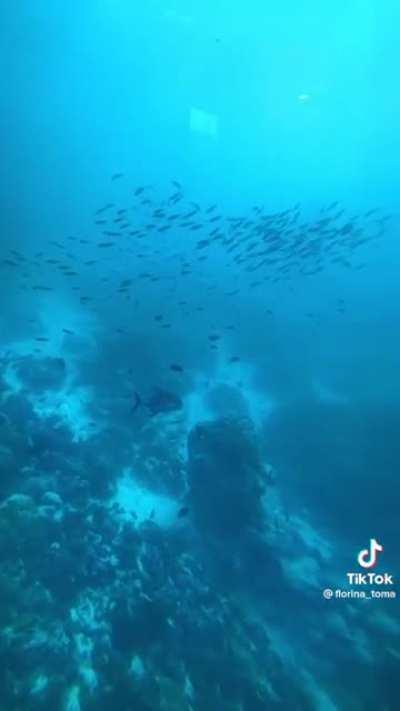 Would you be scared shitless?