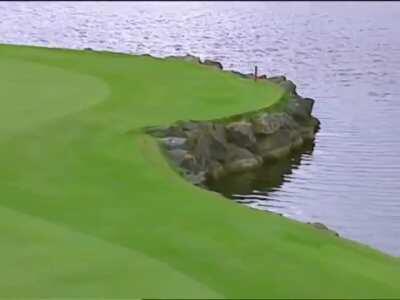 When the golf ball just goes....